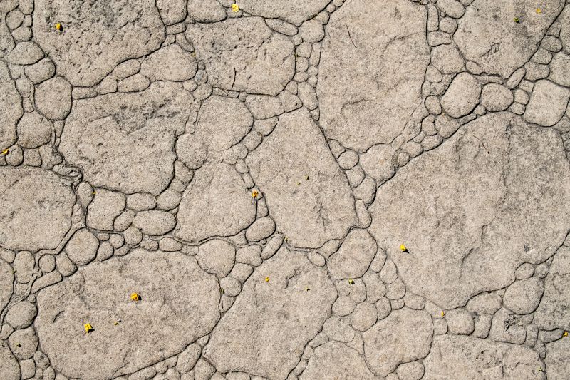 Decorative Concrete Repair in Tampa, FL