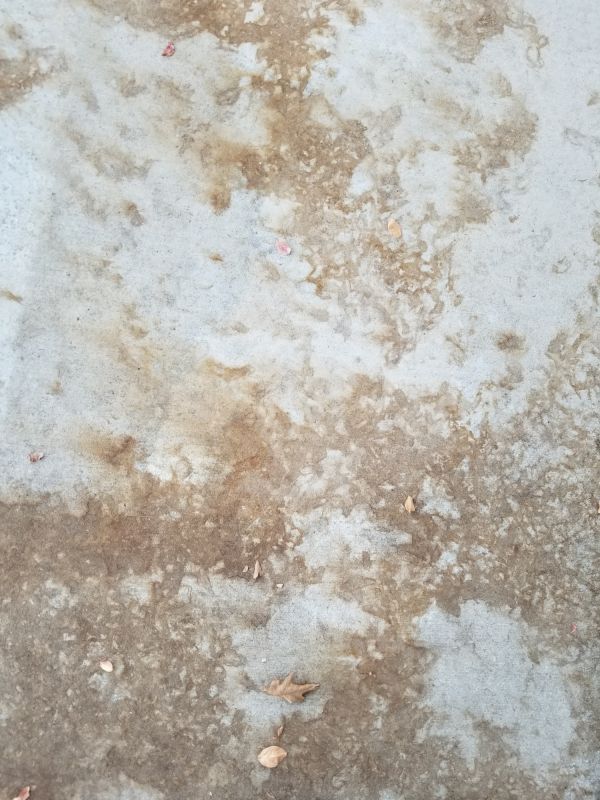 Indoor Concrete Staining
